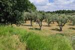 Zemljiste, Poreč, prodaja, 45000 €, 3276 m2