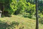 Zemljiste, Mrkopalj, Brestova Draga, prodaja, 72500 €, 622 m2
