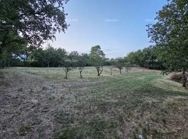 Zemljiste, Tinjan, prodaja, 295000 €, 0 m2