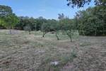 Zemljiste, Tinjan, prodaja, 295000 €, 0 m2