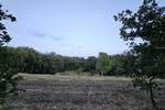 Zemljiste, Tinjan, prodaja, 295000 €, 0 m2