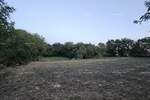 Zemljiste, Tinjan, prodaja, 295000 €, 0 m2
