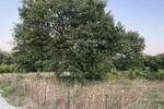 Zemljiste, Medulin, prodaja, 153500 €, 0 m2