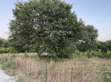 Zemljiste, Medulin, prodaja, 153500 €, 0 m2
