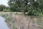 Zemljiste, Medulin, prodaja, 153500 €, 0 m2