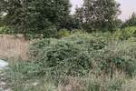 Zemljiste, Medulin, prodaja, 153500 €, 0 m2