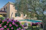 Kuca, Novigrad, prodaja, 550000 €, 155 m2