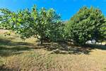 Kuca, Medulin, prodaja, 300000 €, 190 m2