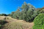 Kuca, Medulin, prodaja, 300000 €, 190 m2