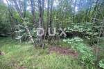 Zemljiste, Viškovo, Marčelji, prodaja, 41999 €, 10317 m2