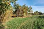 Zemljiste, Svetvinčenat, Foli, prodaja, 37000 €, 2158 m2