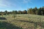 Zemljiste, Svetvinčenat, Foli, prodaja, 37000 €, 2158 m2