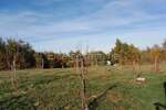 Zemljiste, Svetvinčenat, Foli, prodaja, 37000 €, 2158 m2