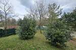 Kuca, Marčana, prodaja, 680000 €, 250 m2