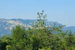 Kuca, Čabar, Prezid, prodaja, 63000 €, 48 m2