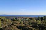 Zemljiste, Marčana, Rakalj, prodaja, 75000 €, 5000 m2