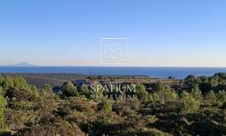 Zemljiste, Marčana, Rakalj, prodaja, 75000 €, 5000 m2