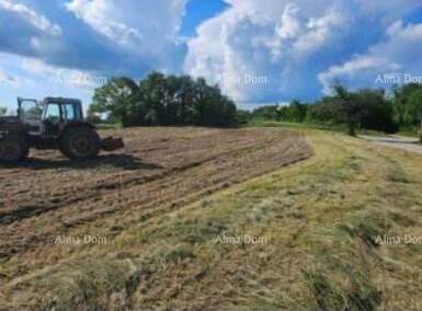 Zemljiste, Žminj, prodaja, 300000 €, 0 m2