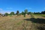 Zemljiste, Žminj, prodaja, 300000 €, 0 m2