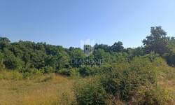 Zemljiste, Svetvinčenat, Čabrunići, prodaja, 76000 €, 2248 m2