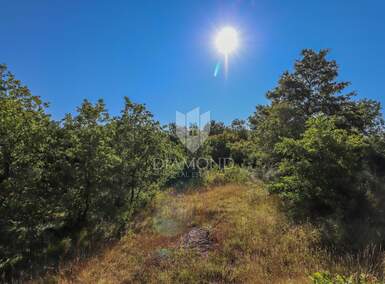 Zemljiste, Svetvinčenat, Čabrunići, prodaja, 74000 €, 1155 m2