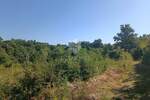 Zemljiste, Svetvinčenat, Čabrunići, prodaja, 74000 €, 1155 m2