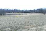Zemljiste, Buzet, Hum, prodaja, 4250 €, 1569 m2