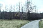 Zemljiste, Buzet, Hum, prodaja, 4250 €, 1569 m2