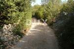 Zemljiste, Krk, Pinezići, prodaja, 50000 €, 550 m2