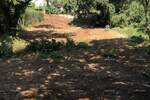 Zemljiste, Marčana, prodaja, 70000 €, 0 m2