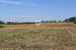 Zemljiste, Poreč, prodaja, 115000 €, 766 m2