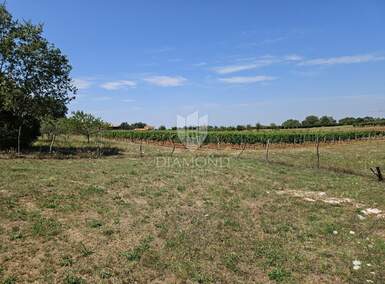 Zemljiste, Poreč, prodaja, 115000 €, 762 m2