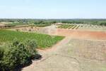 Zemljiste, Poreč, prodaja, 115000 €, 762 m2