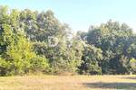 Zemljiste, Svetvinčenat, Butkovići, prodaja, 80000 €, 8000 m2