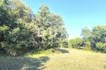 Zemljiste, Svetvinčenat, Butkovići, prodaja, 80000 €, 8000 m2