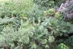 Trosoban stan, Rijeka, Banderovo, prodaja, 330000 €, 59 m2