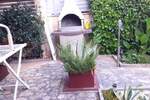 Dvosoban stan, Medulin, Banjole, prodaja, 240000 €, 44 m2