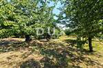 Zemljiste, Viškovo, Marinići, prodaja, 240000 €, 1650 m2