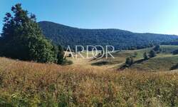 Zemljiste, Mrkopalj, Begovo Razdolje, prodaja, 229000 €, 4921 m2
