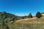 Zemljiste, Mrkopalj, Begovo Razdolje, prodaja, 229000 €, 4921 m2