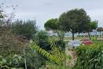 Kuca, Umag, prodaja, 675000 €, 254 m2
