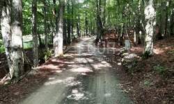 Zemljiste, Fužine, Lič, prodaja, 37000 €, 9794 m2