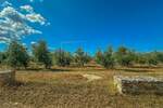 Zemljiste, Umag, prodaja, 850000 €, 8056 m2