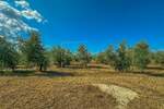 Zemljiste, Umag, prodaja, 850000 €, 8056 m2