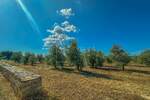 Zemljiste, Umag, prodaja, 850000 €, 8056 m2