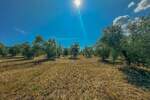 Zemljiste, Umag, prodaja, 850000 €, 8056 m2