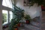 Kuca, Umag, prodaja, 600000 €, 320 m2