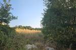 Zemljiste, Čavle, Buzdohanj, prodaja, 247800 €, 3540 m2