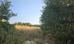 Zemljiste, Čavle, Buzdohanj, prodaja, 247800 €, 3540 m2