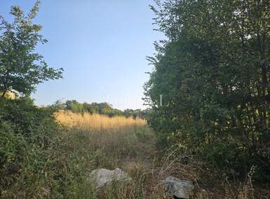 Zemljiste, Čavle, Buzdohanj, prodaja, 247800 €, 3540 m2